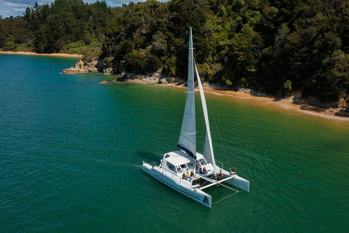 Cruise, Walk, and Sail in Abel Tasman National Park - Photo 1 of 6